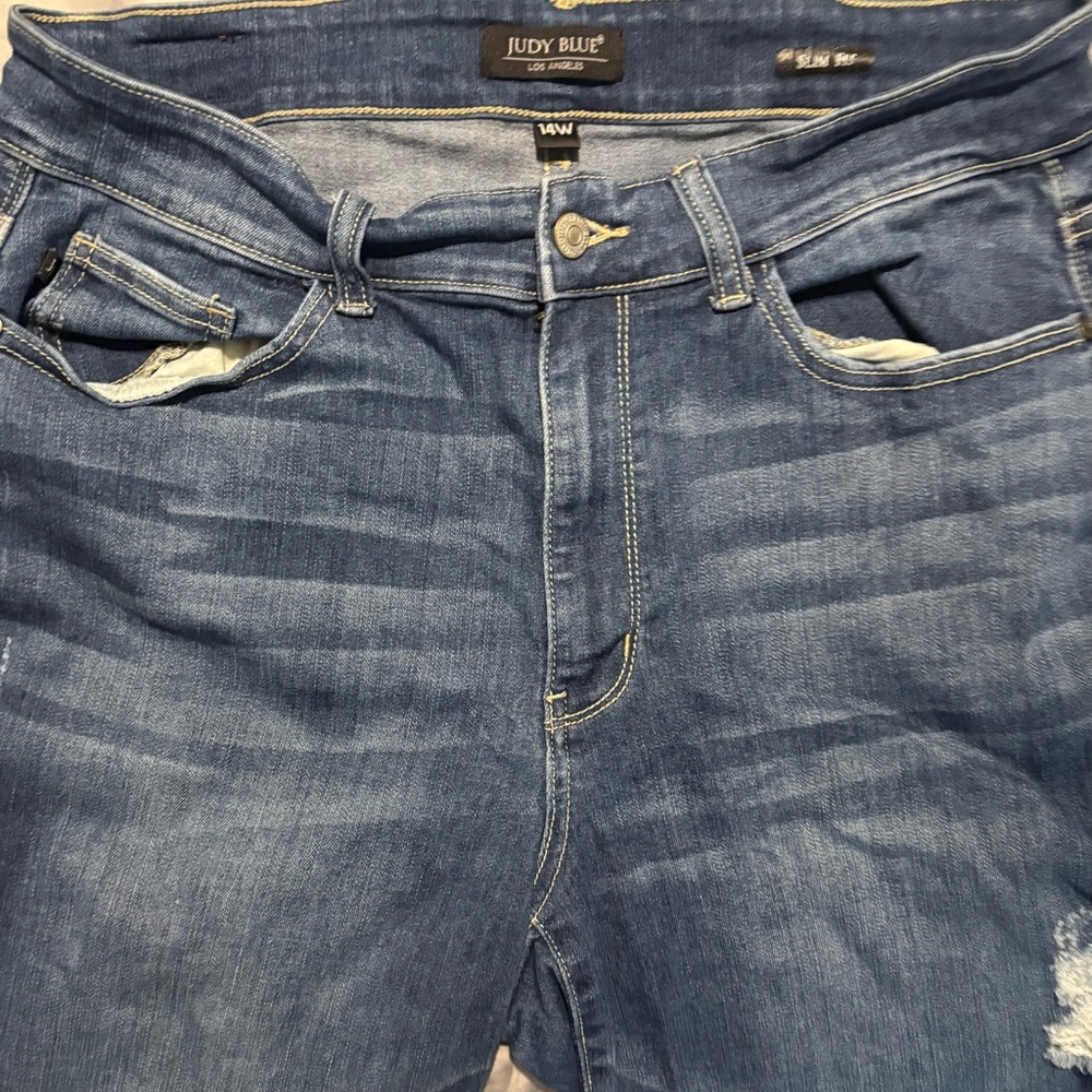 Judy Bule skinny jean. Size 14w. In excellent used condition.